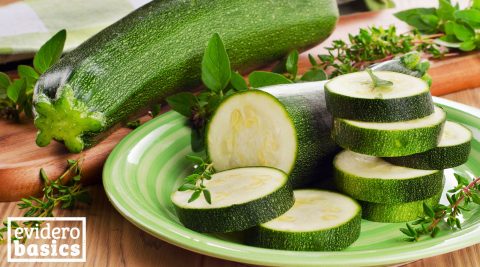 Zucchini als Heilpflanze