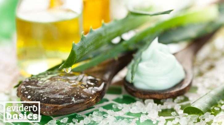 Aloe vera gel dessert