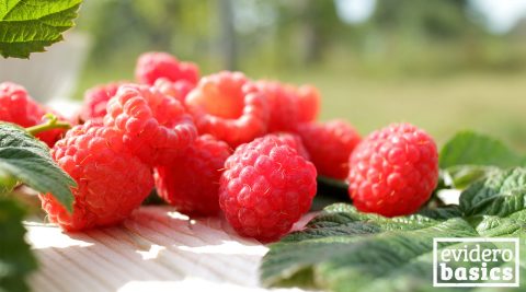 Warum sind Himbeeren gesund?